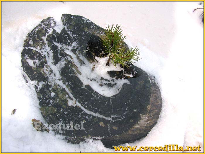 cercedilla_primeras_nieves_18