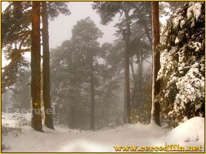 cercedilla_primeras_nieves_21