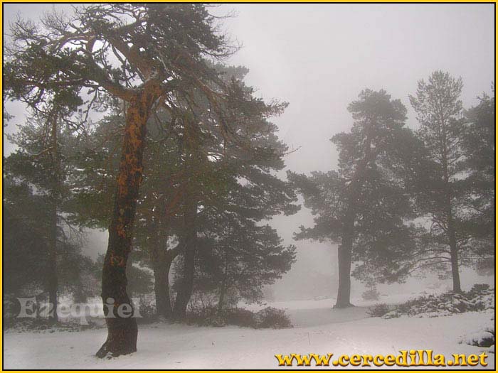 cercedilla_primeras_nieves_22