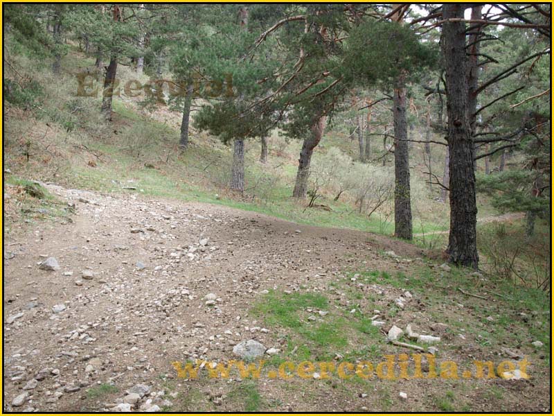 CaminoViejoSegovia_PuertoFuenfria_CalzadaRomana_04