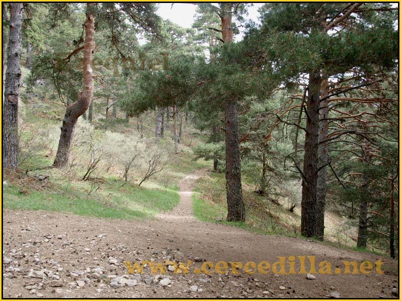 CaminoViejoSegovia_PuertoFuenfria_CalzadaRomana_06