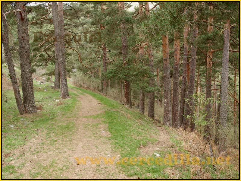 CaminoViejoSegovia_PuertoFuenfria_CalzadaRomana_09