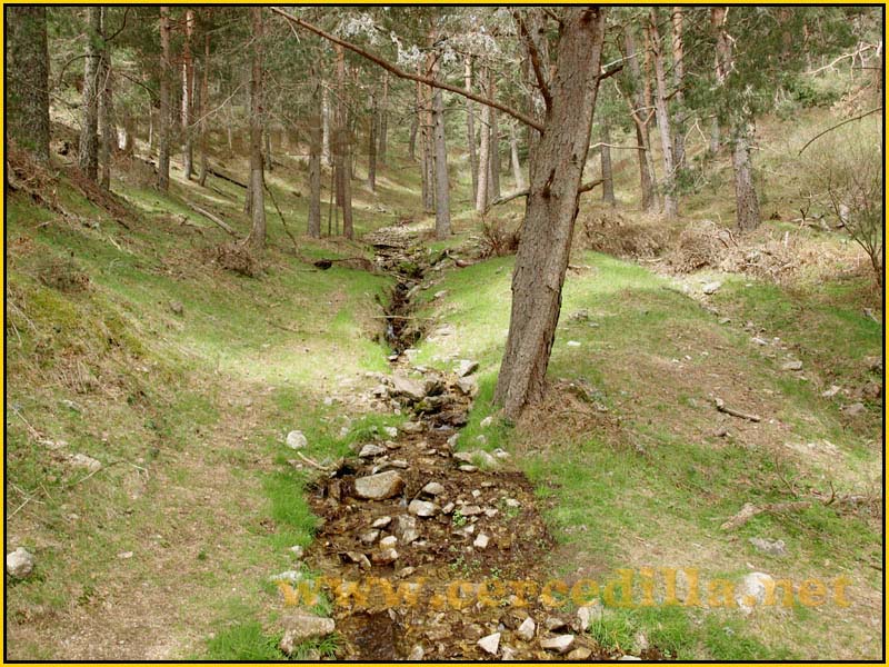 CaminoViejoSegovia_PuertoFuenfria_CalzadaRomana_13