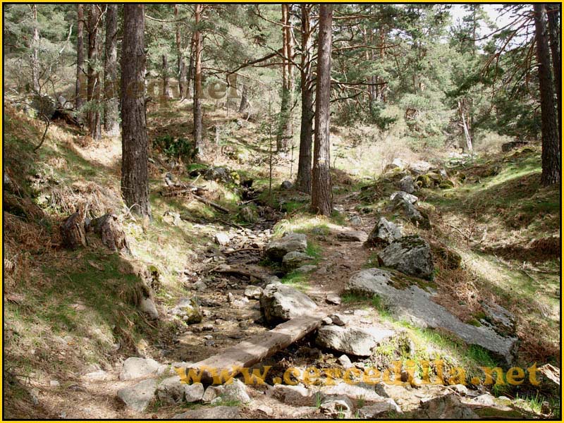 CaminoViejoSegovia_PuertoFuenfria_CalzadaRomana_14