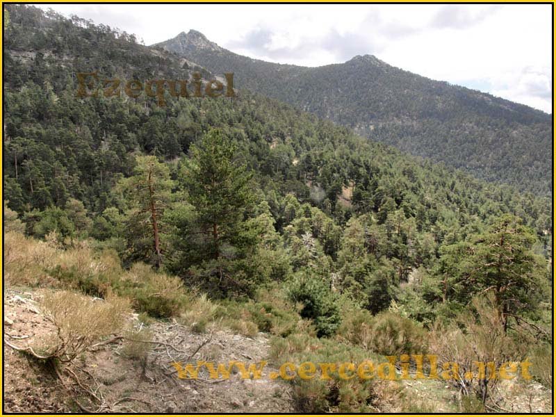 CaminoViejoSegovia_PuertoFuenfria_CalzadaRomana_21