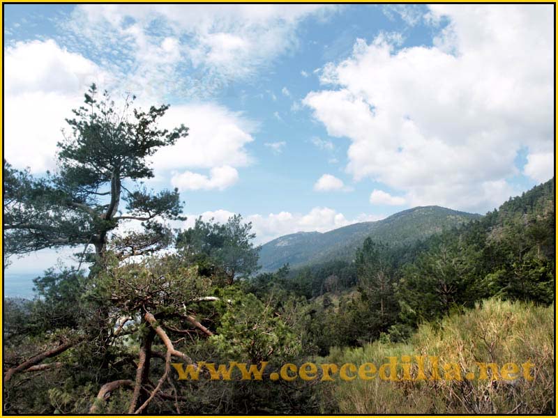 CaminoViejoSegovia_PuertoFuenfria_CalzadaRomana_23