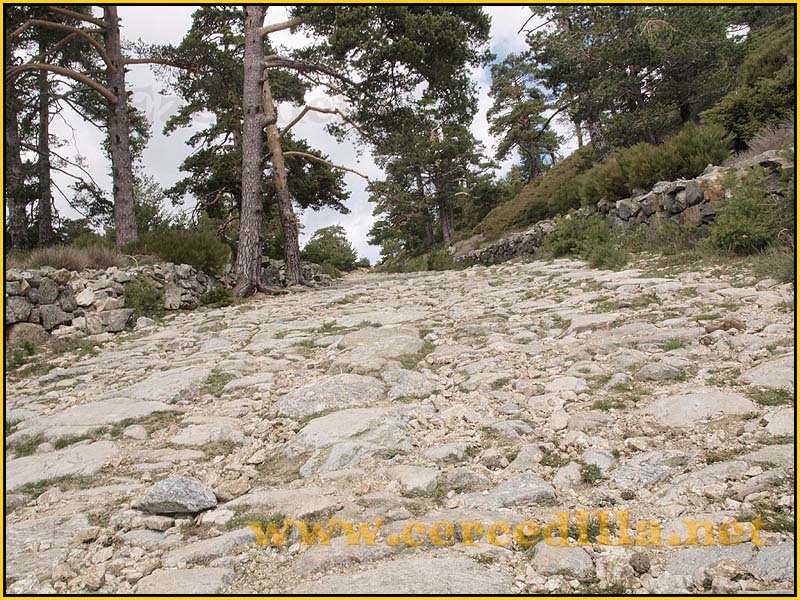 CaminoViejoSegovia_PuertoFuenfria_CalzadaRomana_37