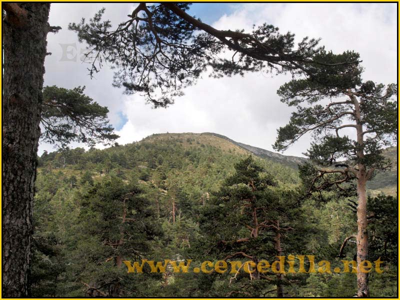 CaminoViejoSegovia_PuertoFuenfria_CalzadaRomana_48