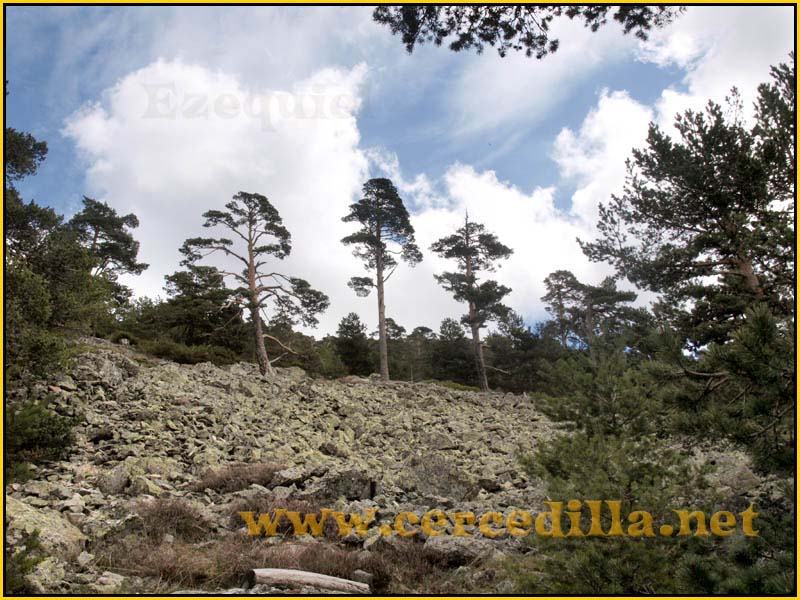 CaminoViejoSegovia_PuertoFuenfria_CalzadaRomana_53