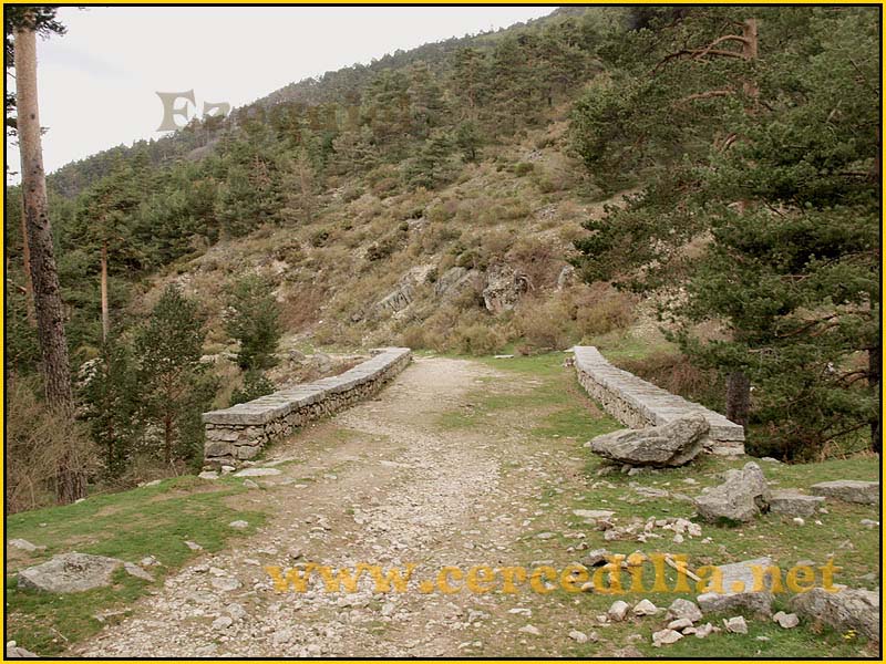 CaminoViejoSegovia_PuertoFuenfria_CalzadaRomana_54