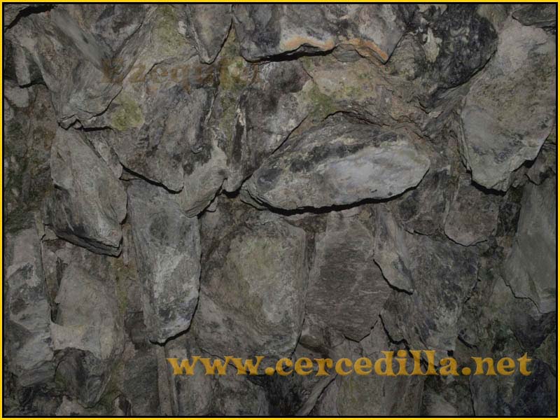 CaminoViejoSegovia_PuertoFuenfria_CalzadaRomana_57