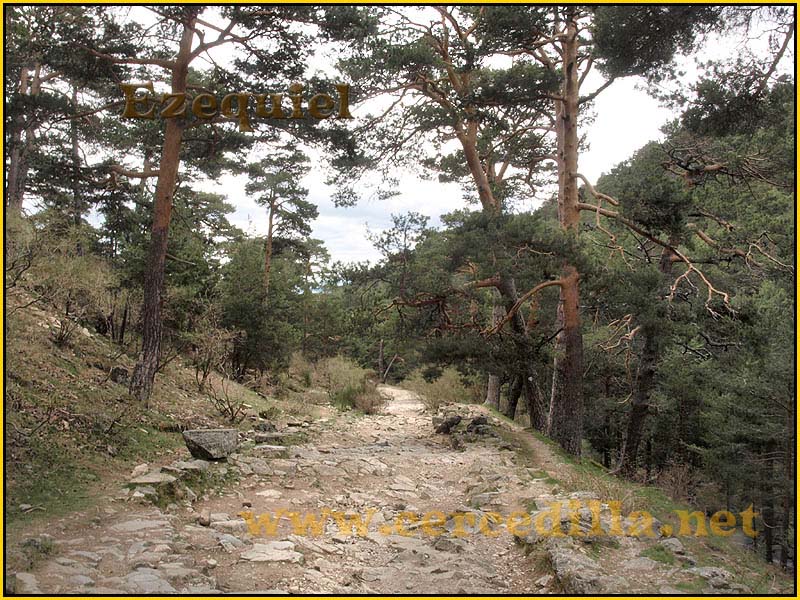 CaminoViejoSegovia_PuertoFuenfria_CalzadaRomana_64