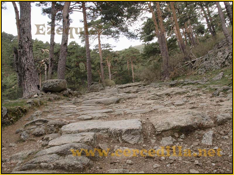 CaminoViejoSegovia_PuertoFuenfria_CalzadaRomana_66