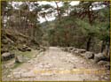 CaminoViejoSegovia_PuertoFuenfria_CalzadaRomana_62
