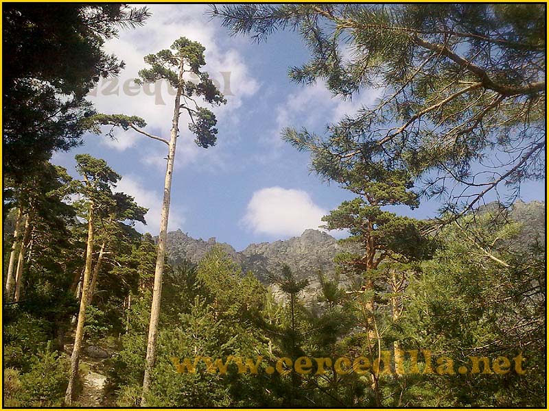 ruta_por_las_fuentes_SietePicos_02