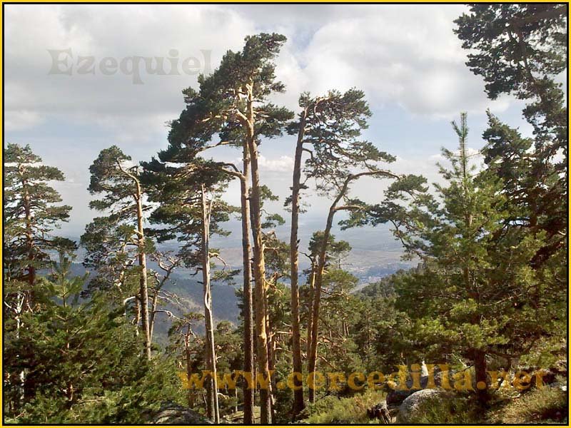 ruta_por_las_fuentes_SietePicos_05