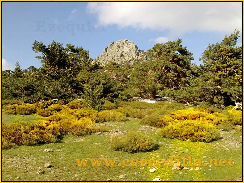 ruta_por_las_fuentes_SietePicos_14