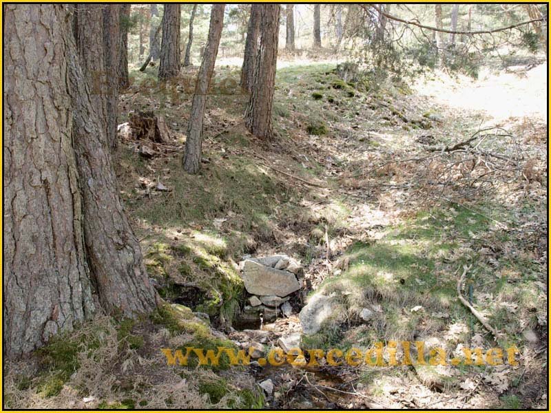 ruta_por_las_fuentes_SietePicos_31a