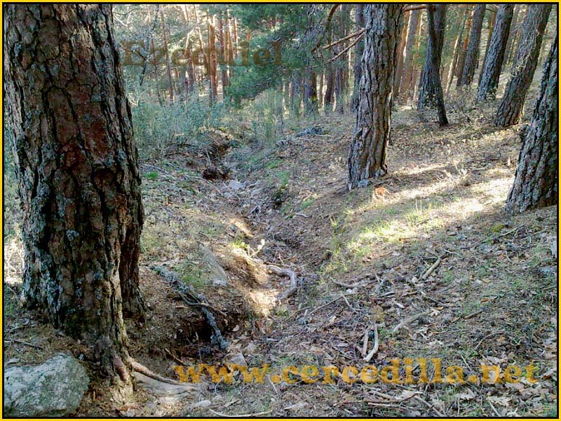 ruta_por_las_fuentes_SietePicos_32