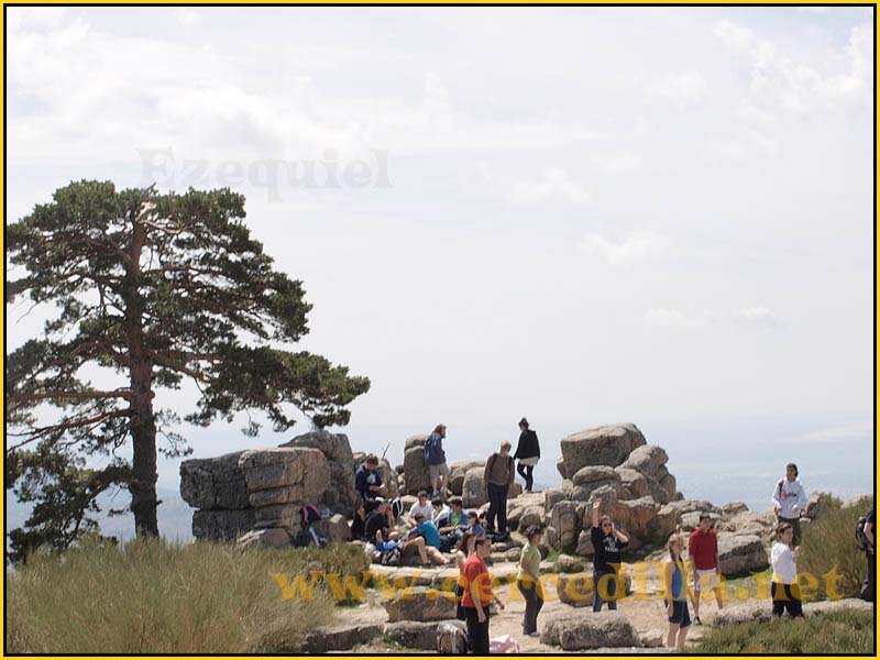 camorritos_miradores_aguilas_rosales_zorro_14