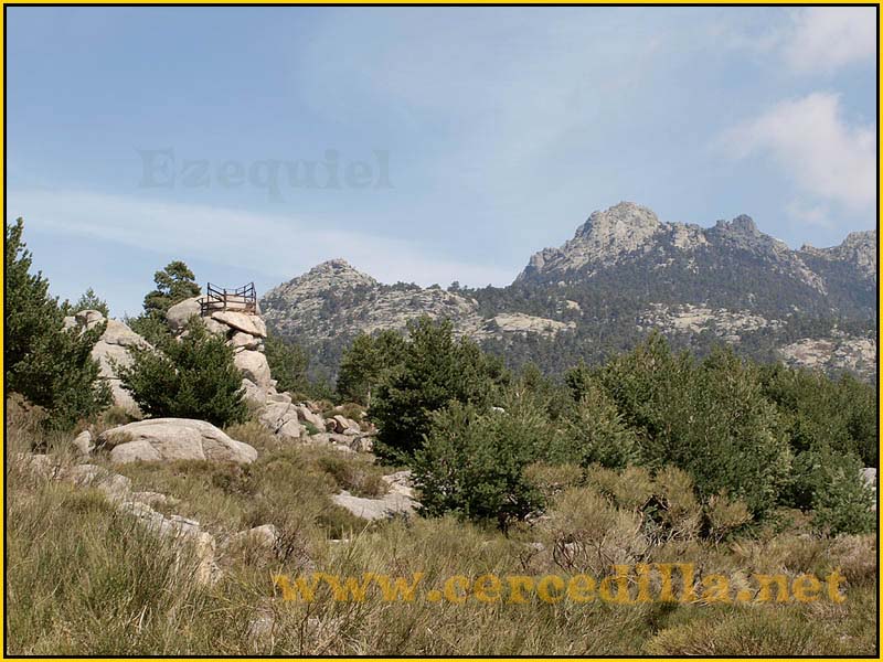 camorritos_miradores_aguilas_rosales_zorro_18