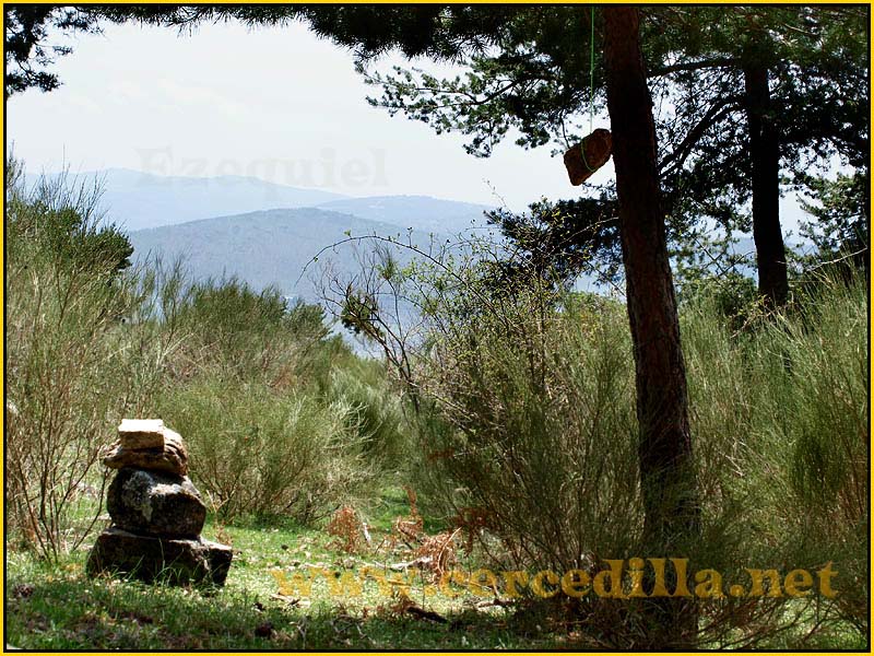 camorritos_miradores_aguilas_rosales_zorro_21