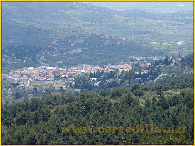 camorritos_miradores_aguilas_rosales_zorro_26