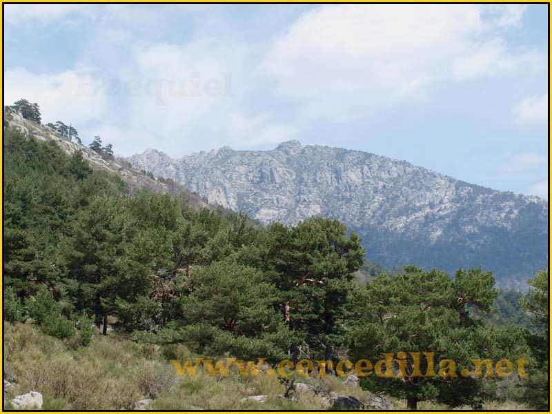 camorritos_miradores_aguilas_rosales_zorro_27