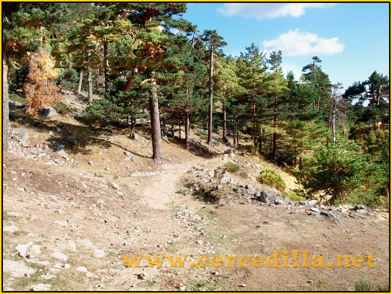 ruta_cercedilla_puesta_de_sol_en_7picos_020