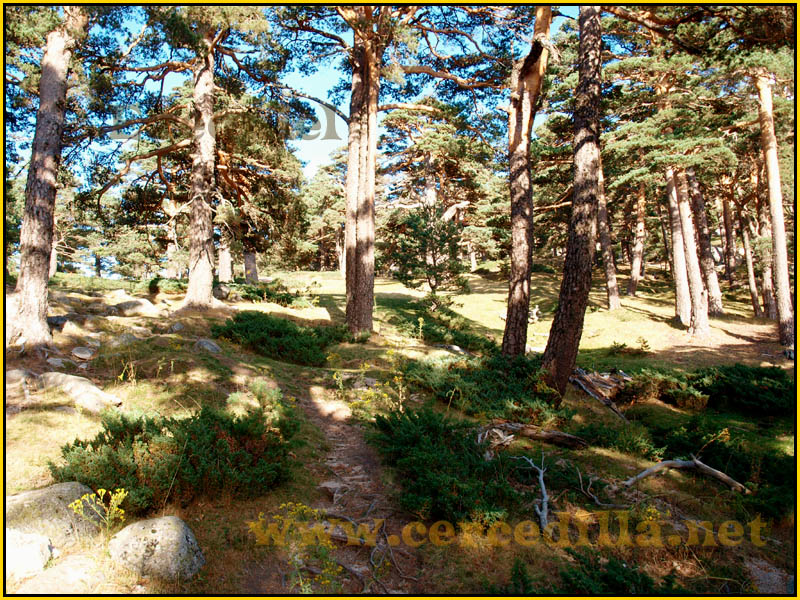 ruta_cercedilla_puesta_de_sol_en_7picos_041