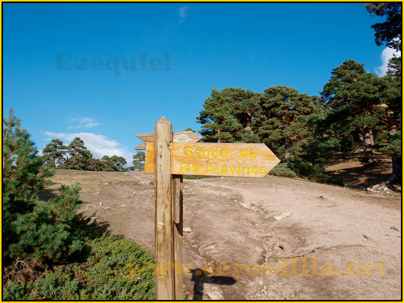 ruta_cercedilla_puesta_de_sol_en_7picos_044