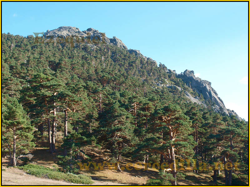 ruta_cercedilla_puesta_de_sol_en_7picos_046