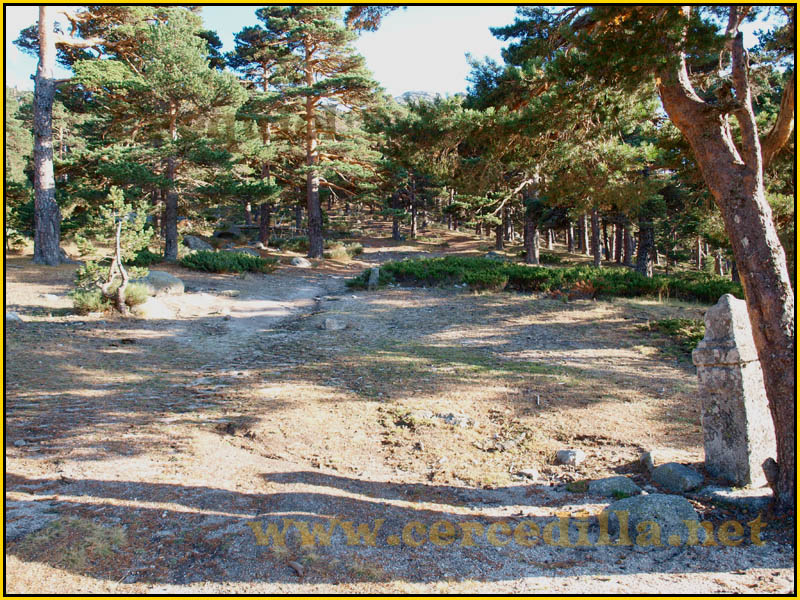 ruta_cercedilla_puesta_de_sol_en_7picos_047