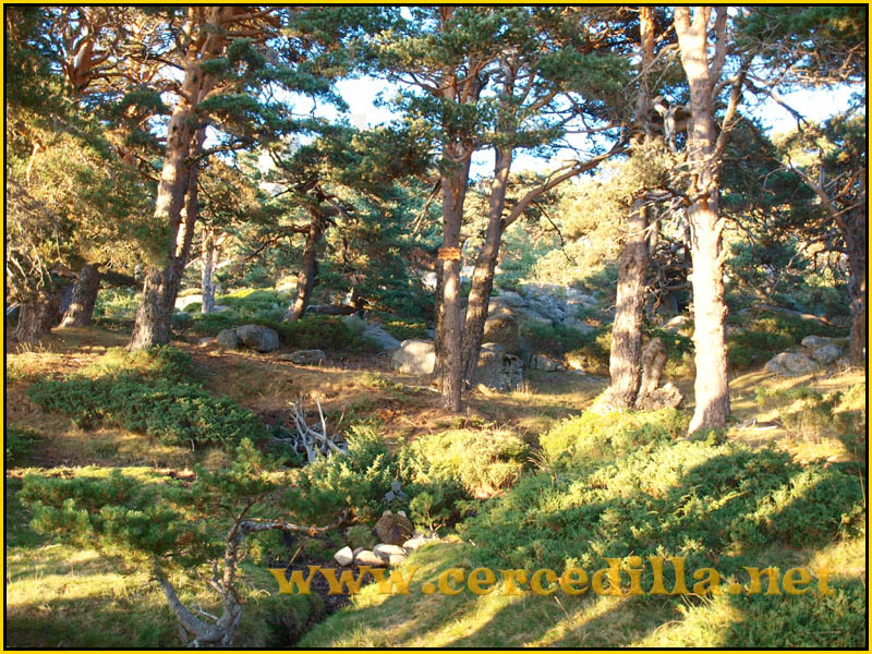 ruta_cercedilla_puesta_de_sol_en_7picos_064