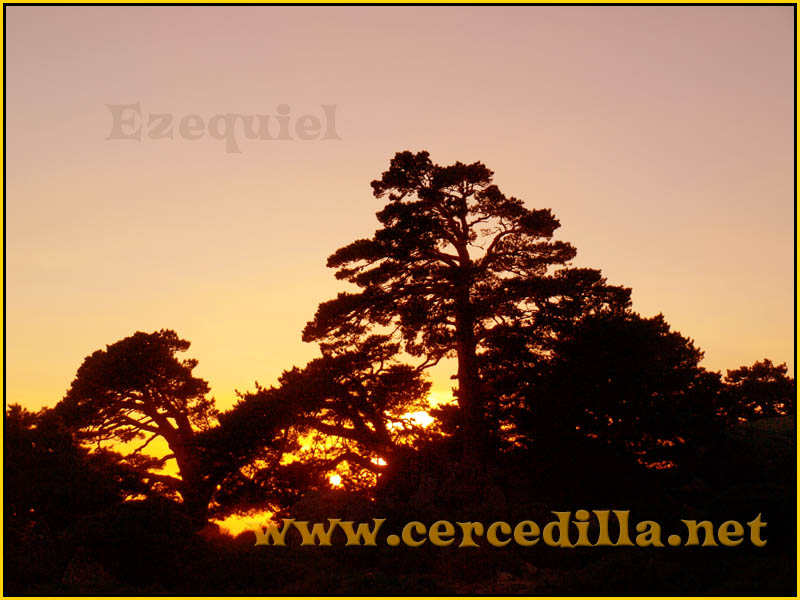 ruta_cercedilla_puesta_de_sol_en_7picos_072