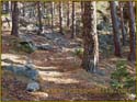 ruta_cercedilla_puesta_de_sol_en_7picos_048