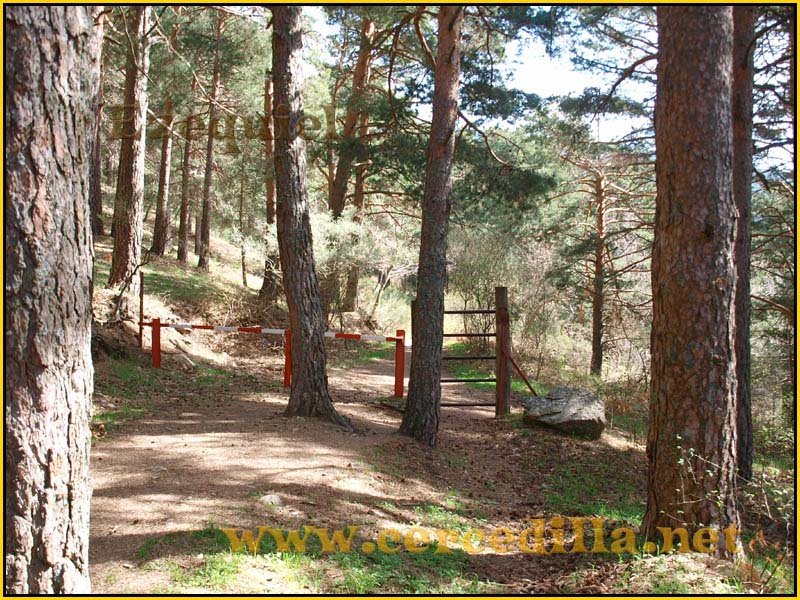 camorritos_rio_pradillo_hueco_siete_picos_02