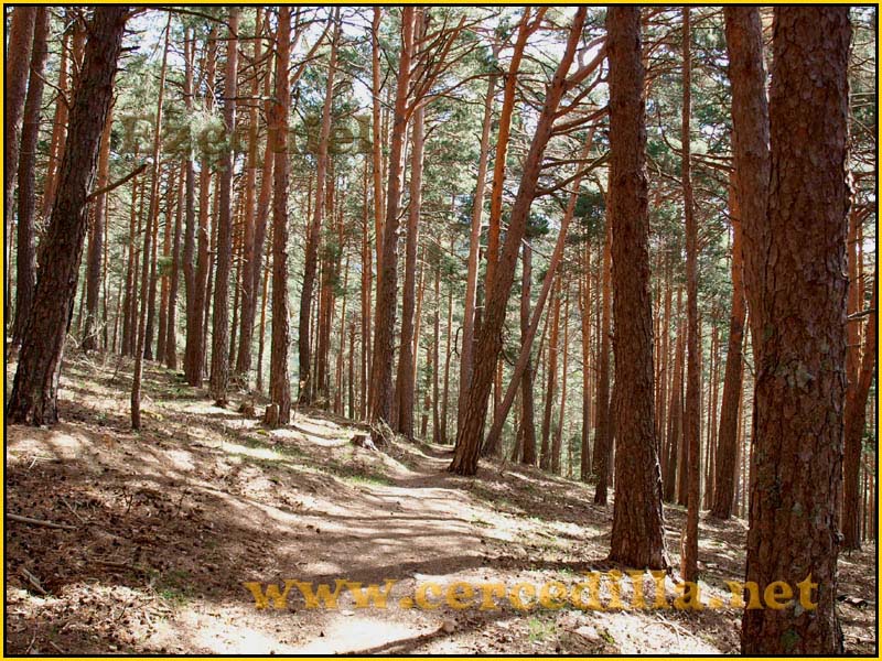 camorritos_rio_pradillo_hueco_siete_picos_03