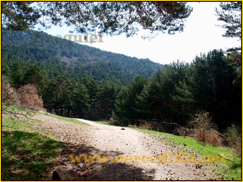 camorritos_rio_pradillo_hueco_siete_picos_05