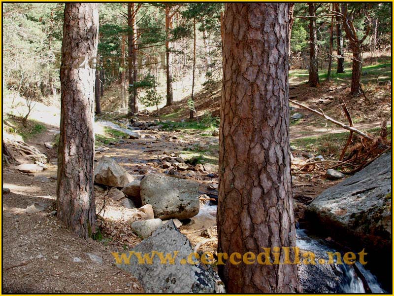 camorritos_rio_pradillo_hueco_siete_picos_08