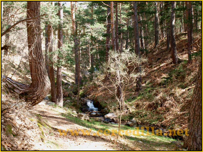 camorritos_rio_pradillo_hueco_siete_picos_09
