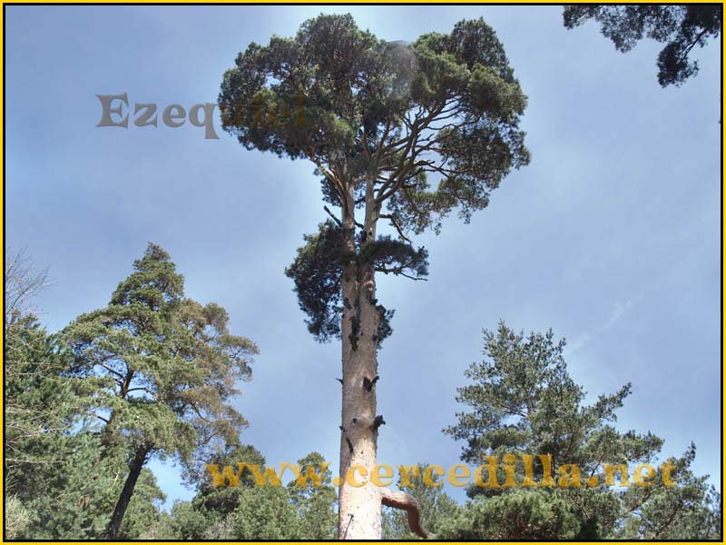 camorritos_rio_pradillo_hueco_siete_picos_18