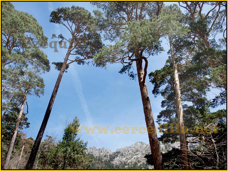 camorritos_rio_pradillo_hueco_siete_picos_25