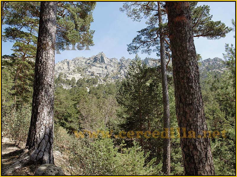 camorritos_rio_pradillo_hueco_siete_picos_26