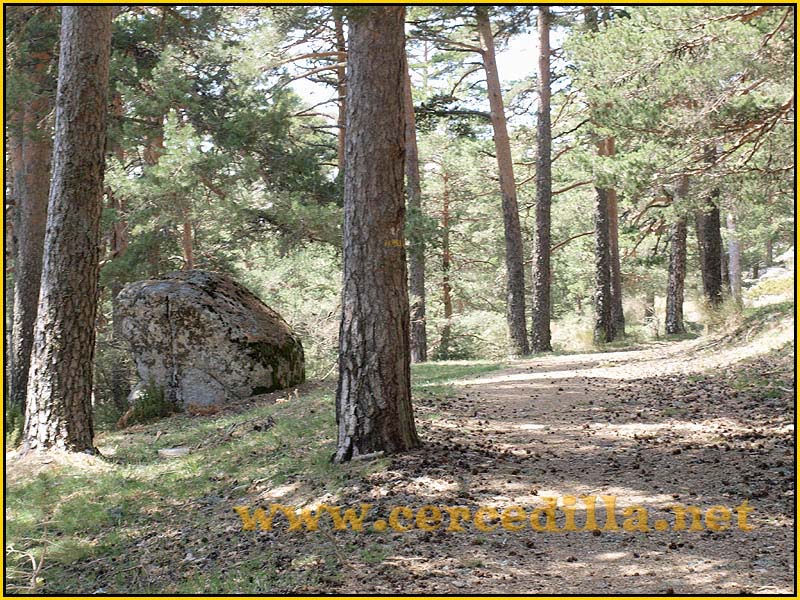 camorritos_rio_pradillo_hueco_siete_picos_36